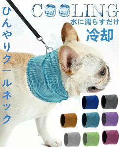 y݌ɏE؂ꎟIzN[lbN  N[oh lbNN[[ ybgp⊴^I Ђ N[o_i S M L 8FI    ^I  p o_i p