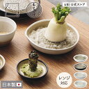 【公式限定カラー】【大サイズ送料無料】おろし器 大 小 ハレとケ 石見焼 日本製 電子レンジ対応 すりおろし器 大根お…