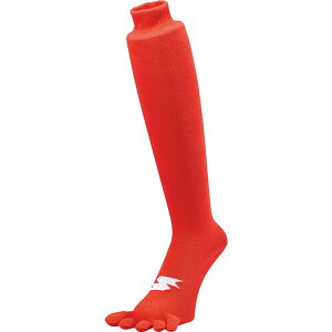 N[|s 11/27 01:59܂ ubNtCf[ GXGXPCiSSKj@YA1929@20@싅@2g5{w\bNX@20SS