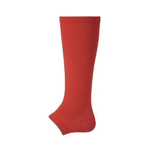 N[|s 11/27 01:59܂ ubNtCf[ fTgiDESCENTEj@C8403@RED@싅@L^J[XgbLO@20SS