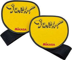 ~JTiMIKASAj@ACBT200@o[{[@g[jOpi@ubNKŁiub񂮁j@20SS