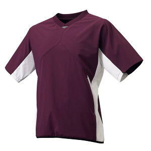 GXGXPCiSSKj@BWP2004H@2210@싅@ V {fBOWPbg@20FW