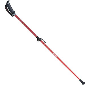 LULiKIZAKIj@APAI7H202 20@mfBbN EH[LO |[ nO2iLk t[TCY 1g bh 23SS