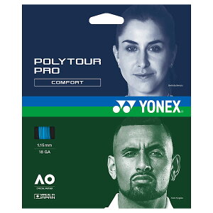 lR|X  YonexilbNXj@PTGP115 002@dejXp@Kbg XgO |cA[ v 115 u[ 24FW