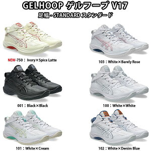 asicsiAVbNXj@1063A096 oXPbg{[@V[Y@GELHOOP Q t[v V17 STANDARD X^_[h@25SS
