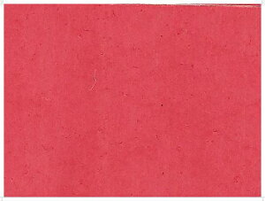 YonexilbNXj@EFbgX[p[Obv5{pbNi5{j@AC1025P@ejX@ANZT[@13SS