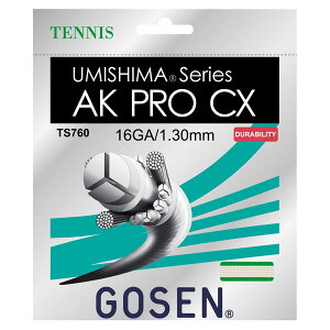 GOSEN�i�S�[�Z���j�@�E�~�V�}AK�v��CX16�@TS760NA�@�e�j�X�@�K�b�g 14FW