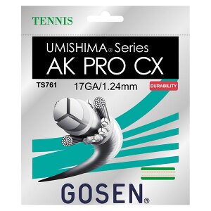 GOSEN�i�S�[�Z���j�@�E�~�V�}AK�v��CX17�@TS761NA�@�e�j�X�@�K�b�g 14FW