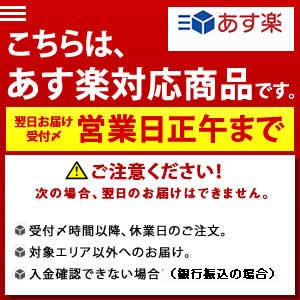楽天市場】ハシマ ハンディタイプ検針器 ＨＮ&minus;３０Ｓ 【送料無料 