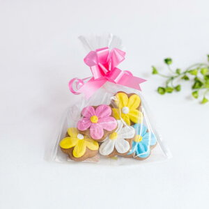 nbs[t[̃ACVONbL[iOPP܁j5 50g^a I[_[ LN^[ َq Mtg lC  v[g Y o^[ IWi fR[V  