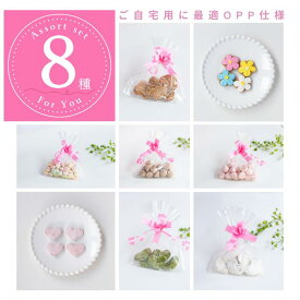 アイシングクッキー専門店のティータイムアソートセット8種（OPP袋）／誕生日 オーダー お菓子 クッキー ギフト 人気 美味しい プレゼント 国産 オリジナル デコレーション 飾り おしゃれ プチギフト オーダー キャラクター 推し 詰め合わせ かわいい
