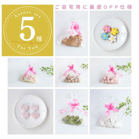 ”選べるから嬉しい”アイシングクッキー専門店のティータイムアソートセット5種（OPP袋）／誕生日 オーダー お菓子 クッキー ギフト 人気 美味しい プレゼント 国産 オリジナル デコレーション 飾り おしゃれ プチギフト オーダー キャラクター 推し 詰め合わせ かわいい