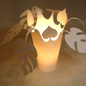 s敪2ttCX Flames@XeX^h DS-043
