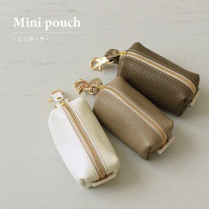 AMUy ~j|[` zmini |[` ̕TCY  St{[P[X bvP[X {v Vv C^AU[ pXeJ[ 킢  C^AY ݃J