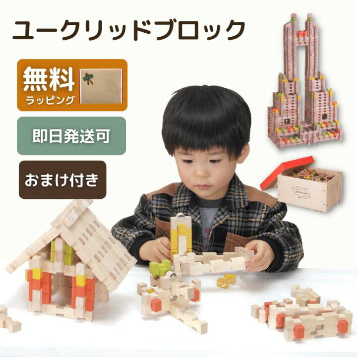 楽天市場】ブロック おもちゃ 知育玩具 ユークリッドブロック 600 