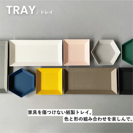 TRAY 小物置きキャッシュトレイ つり銭カルトン アクセサリー ペントレー コイントレー カード 会計 インテリア 収納 アクセサリートレイ アクセサリーケース モノトーン プレート トレー おしゃれ 収納 シンプル 鍵 眼鏡 卓上 玄関