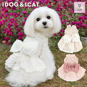 idog iDog EFfBO[Xs