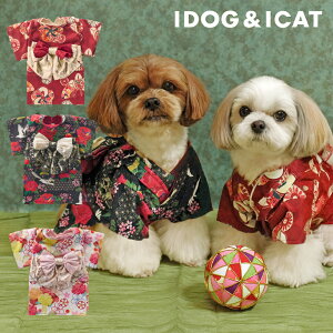idog iDog p AChbO