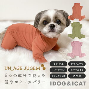 idog iDog UNAGE_JUGEM wJȂ AGCW WQ AChbO