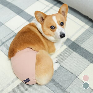 idog iDog UNAGE SPA AGCWXp  AChbO