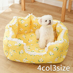 pxbh}bg Lbcxbhxbh X[hbO nEXNbV \t@xbh LbgnEX ybgxbh ybgeg Lpxbh \t@ ʋC lGʗp ybgpi Lb