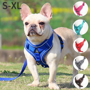  n[lX [h n[lX[hZbg iC Vv Jt[lX ^  ^  킢 U pn[lX Ȃ p ȒP ^ EFAn[