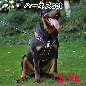 tn[lX \tg Vv  ^  U pn[lX Ȃ p ȒP ^ EFAn[lX bVȒPE o hbO [h S o