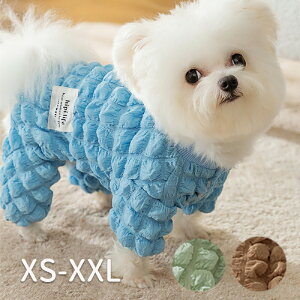 bt Jo[I[ EB^[X[c ^^ ybgEGA hbOEFA E₷ _炩 ~ d˒ pEFA  R  