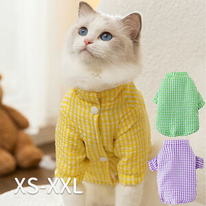 MK`FbN WPbg ^ ^ ybgEGA hbOEFA Lp E₷ ~ d˒ lRp pEFA  R   lR Lp