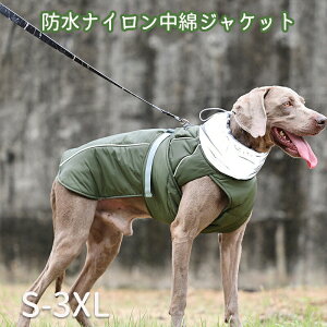 hiCȃWPbg ^ ^ ^ ybgEGA hbOEFA E₷ _炩 ~ d˒ lRp pEFA  R   lR Lp