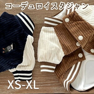 R[fC X^WAWo[ h ^ ^ X^W ybgEGA hbOEFA E₷ _炩 ~ d˒ pEFA   L@~ Z[^[