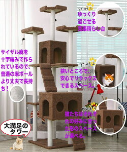 Lbg^[ u X[v LnEX 2xbh nbN ߁(183cm) ׂ j