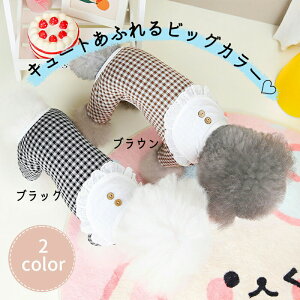  ybgEGA hbOEFA MK`FbN rbOJ[ p[X _炩 E₷ Ԃ Lk ̎q pEFA I[V[Y  R  