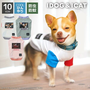 idog iDog COOL+MOSCAPE GREMLINSギズモの3つの約束Tシャツ アイドッグ(10サイズ/3カラー)