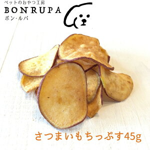 ܂Ղ45g {Ep@  Y ԐH W[L[ hbOt[h Tc}C