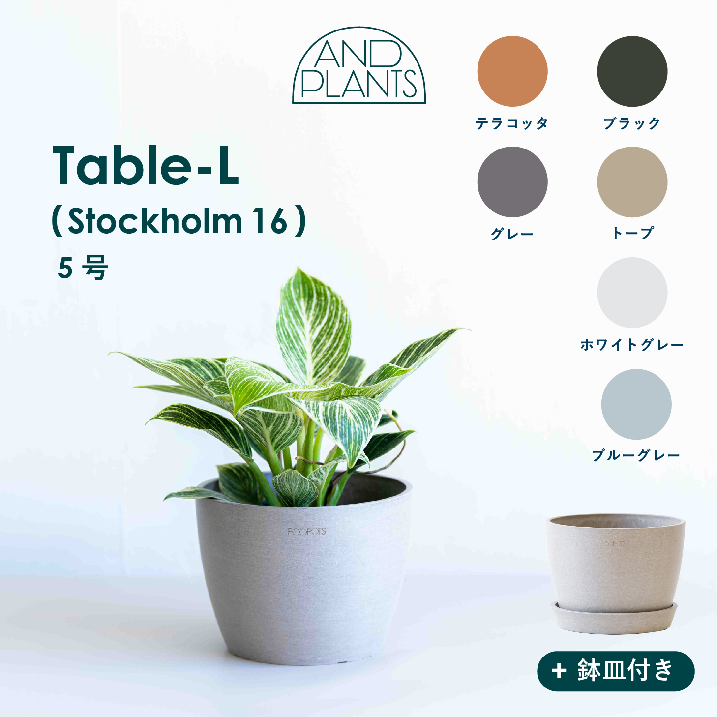 Ecopots Stockholm Table-L 植木鉢 5号 小さい プラスチック+天然石 プランター 軽い おしゃれなインテリアになる鉢  鉢カバー | AND PLANTS 植物・植木鉢・花屋