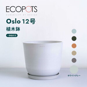 Aؔ  ecopots Oslo 4~12 vX`bN + VR Jo[  ^ v^[ y CeA k IX M t  A ϗtA Ahvc and plants 4 5 8 12 z