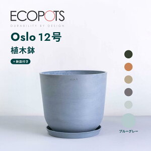 Aؔ  ecopots Oslo 5~12 vX`bN + VR Jo[  ^ v^[ y CeA k IX M t  A ϗtA Ahvc and plants 5 6 8 12 z