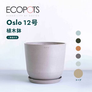 Aؔ  ecopots Oslo 5~12 vX`bN + VR Jo[  ^ v^[ y CeA k IX M t  A ϗtA Ahvc and plants 5 6 8 12 z
