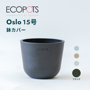 Jo[  ecopots Oslo 3 ~ 15 vX`bN + VR Jo[  ^ v^[ y CeA k M t  A ϗtA Ahvc plants zCg O[ u[ 