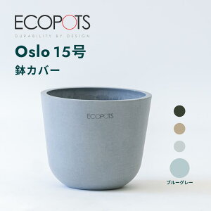 y111010%zJo[  ecopots Oslo 3 ~ 15 vX`bN + VR Jo[  ^ v^[ y CeA k  A ϗtA Ahvc plants zCg O[