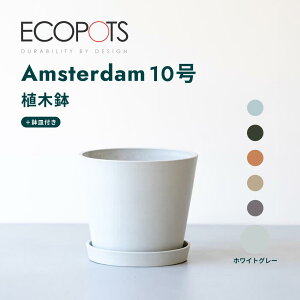 Aؔ  ecopots Amsterdam 3~10 vX`bN + VR Jo[  ^ v^[ y CeA k M t  A ϗtA Ahvc and plants 3 4 6 8 10 z