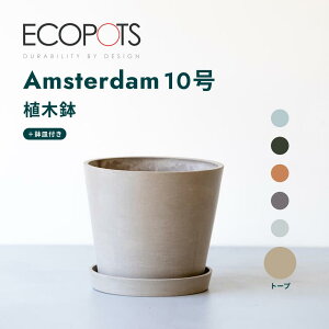 y110210zAؔ  ecopots Amsterdam 5~10 vX`bN + VR Jo[  ^ v^[ y CeA k M t  A ϗtA Ahvc and plants 3 