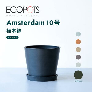 y110210zAؔ  ecopots Amsterdam 5~10 vX`bN + VR Jo[  ^ v^[ y CeA k M t  A ϗtA Ahvc and plants 3 