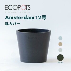 Jo[  ecopots Amsterdam 3~12 vX`bN VR Jo[  ^ v^[ y CeA k M t  A ϗtA Ahvc and plants 3 4 zCg O