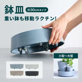 ＼レビュー特典あり／植木鉢台 植木鉢 鉢置き台 キャスター キャスター付き 可動式 隠しキャスター 観葉植物 エコポッツ ECOPOTS アンドプランツ ANDPLANTS おしゃれ ナチュラル 北欧 10号 12号 15号 大型 屋内 屋外 軽量 プラスチック 鉢植え