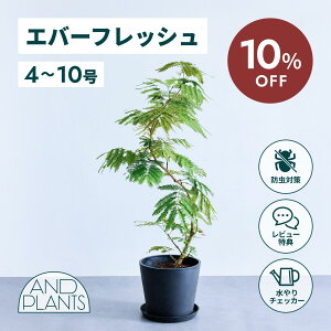 _91010%^Go[tbV ϗtA { ^  y ~j CeA  Ahvc andplants GR|bc ecopots  Aؔ Ă₷ ͂ɂ  N v[
