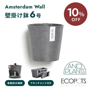 y110210zECOPOTS Amsterdam WALL 20@ʋ@Ǌ|Aؔ 6 vX`bN+VR y CeAɂȂ锫 O[