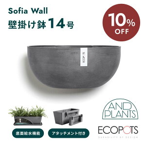 y110210z ECOPOTS Sofia WALL 43@ʋ@Ǌ| 14 vX`bN+VR y CeAɂȂ锫 O[