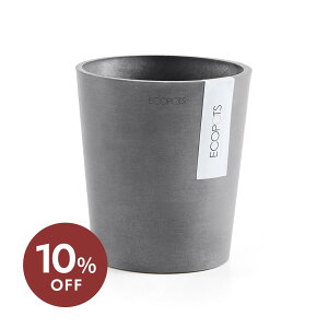 _Cɓo^ł҂^  Aؔ Morinda 14cm 4  v^[ Jo[ _ ANDPLANTS Ahvc ecopots GR|bc Ȃ 󂯎MȂ O[ y y v